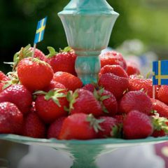 Swedish strawberries